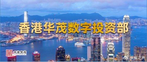 货币纳入组合数字投资是指_如何将数字货币纳入投资组合_货币纳入组合数字投资什么意思