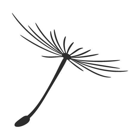 数字货币价格波动因素_如何应对数字货币的市场波动_数字货币波动率