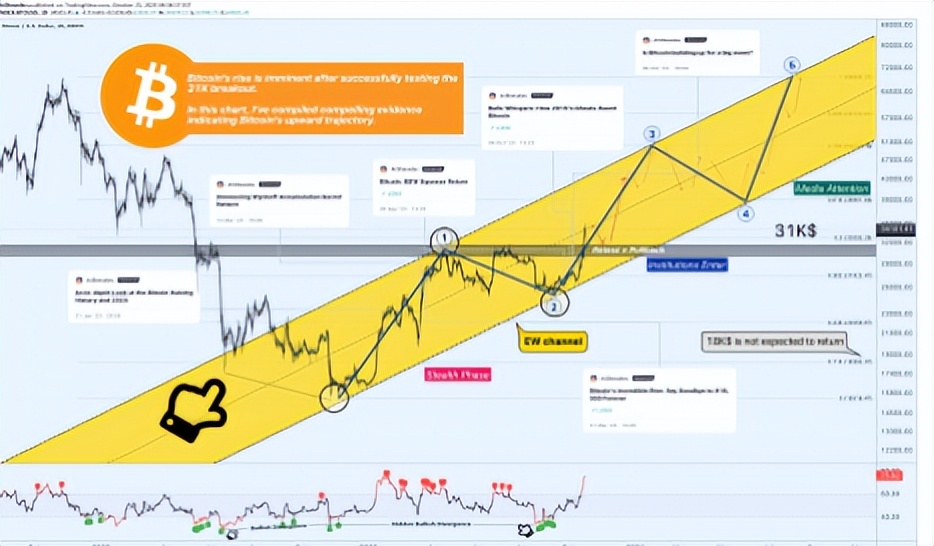 如何评估比特币交易软件的市场表现与风险？_比特币价值评估_比特币评级机构