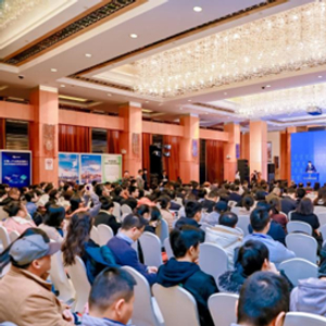 具有投资价值的数字货币_数字货币投资策略_数字货币对传统投资的挑战与适应：如何为投资者提供新选择