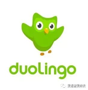 如何通过社交媒体关注不同币种的动态与新闻_社交媒体上的新闻_新闻社交平台