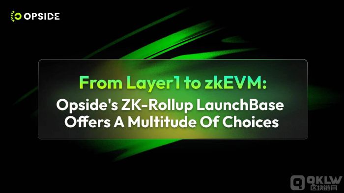 Filecoin与Polkadot：分布式存储与跨链互操作性的创新技术解析