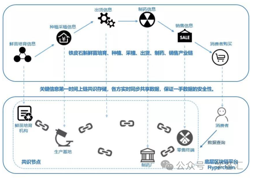 虚拟币流动性什么意思_数字资产的流动性问题：虚拟货币如何影响交易成本与效率_虚拟币流动性池