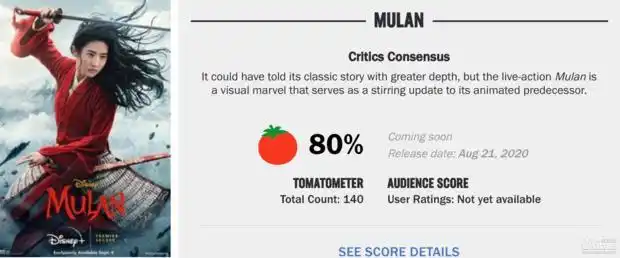 甄子丹演的反派_甄子丹演的反面角色的电影_甄子丹的反派角色与表演深度