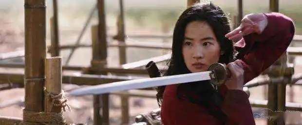 甄子丹的反派角色与表演深度_甄子丹演的反派_甄子丹演的反面角色的电影