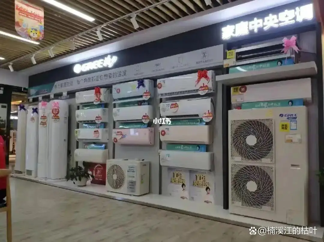 格力电器审计_格力的启示_在董明珠被停职审查的背景下，格力电器未来发展战略的启示