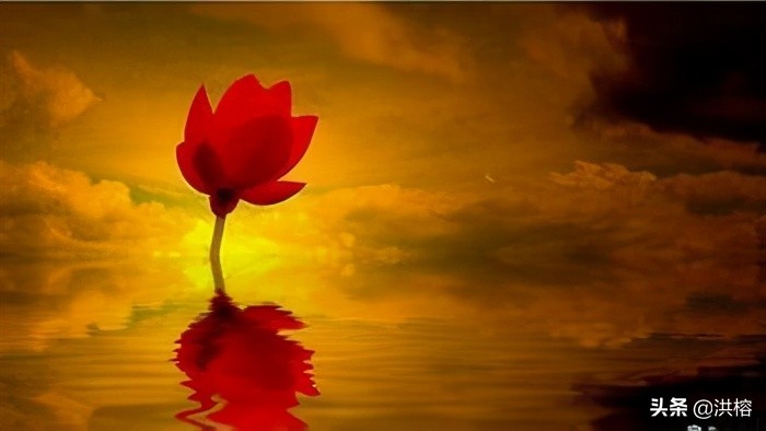 怎么解读贪婪指数与恐惧指数_币圈恐惧贪婪指数_数字货币投资者心态研究：贪婪与恐惧如何影响市场决策