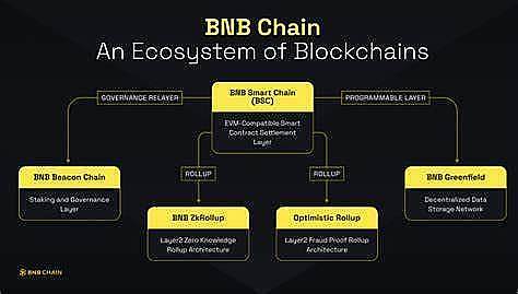 应用货币的五种职能_chia币应用场景_分析BNB币作为支付手段的潜力：如何实现广泛应用