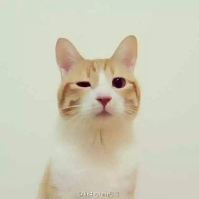 分析数字资产在风险投资中的应用：如何评估与选择优秀项目_投资风险评估软件_资产风险评估三要素