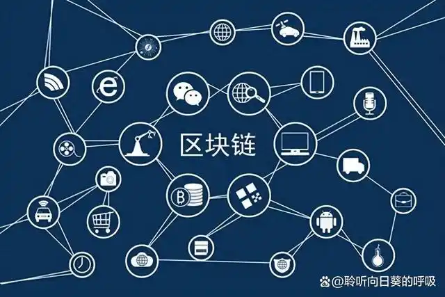 数字化世界中的数据安全与隐私保护：区块链技术的应用与挑战