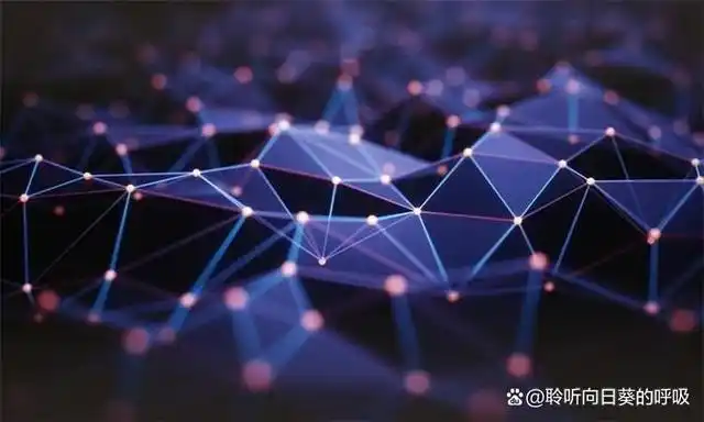 数字货币个人隐私_数字货币的隐私保护挑战与机遇_隐私币的未来