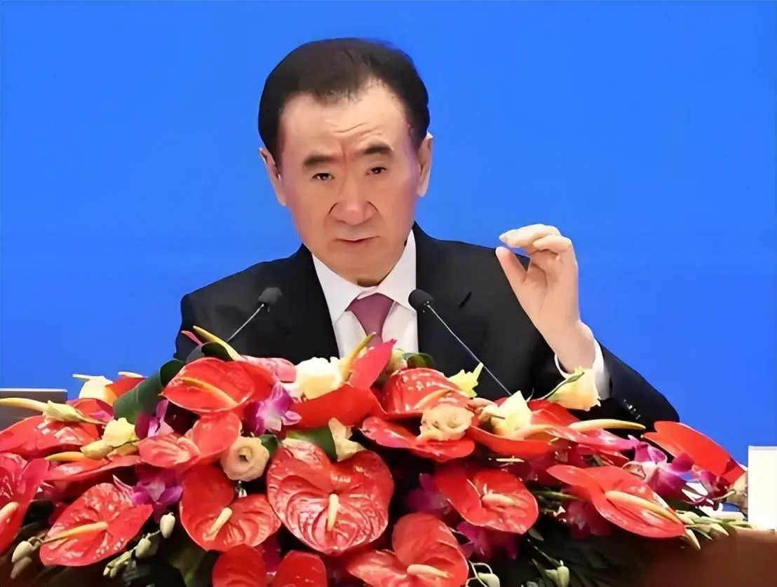 王健林人物分析_王健林旗下品牌_王健林的个人品牌与公众形象