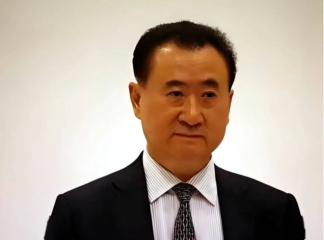 王健林人物分析_王健林旗下品牌_王健林的个人品牌与公众形象