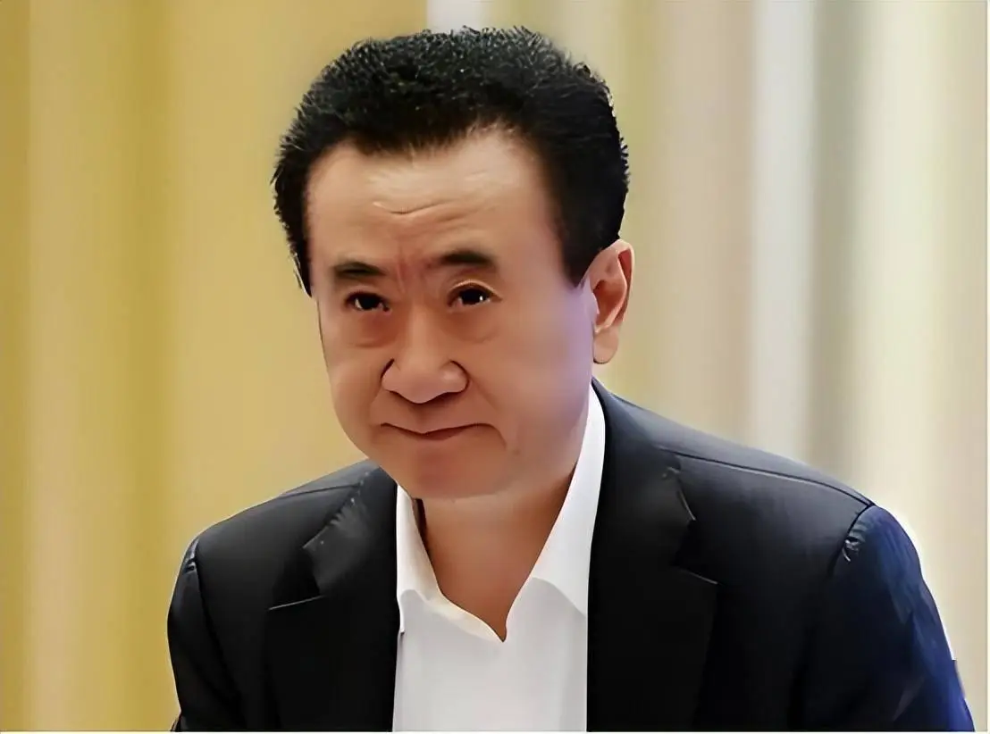 王健林旗下品牌_王健林人物分析_王健林的个人品牌与公众形象