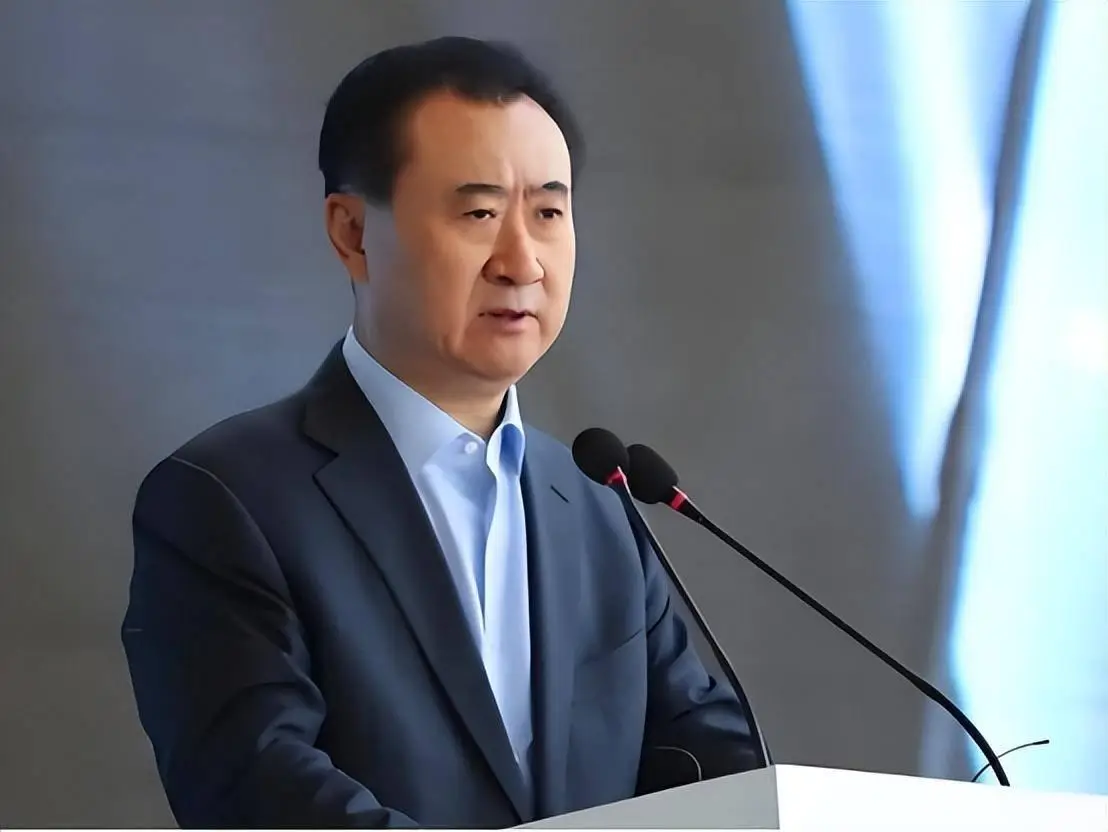 王健林旗下品牌_王健林人物分析_王健林的个人品牌与公众形象