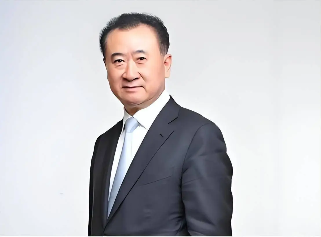王健林旗下品牌_王健林的个人品牌与公众形象_王健林人物分析