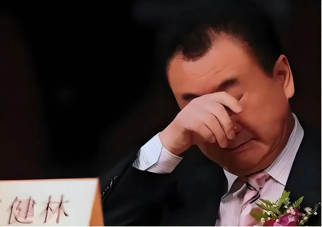 王健林的个人品牌与公众形象_王健林人物分析_王健林旗下品牌