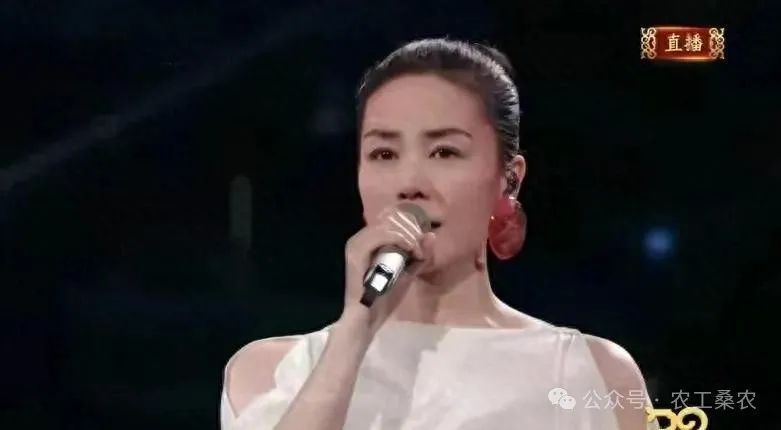 2025蛇年春晚：王菲世界赠予我的闪耀，回望她与张柏芝的传奇之旅