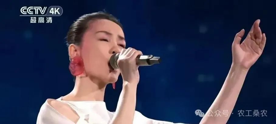 张柏芝在电影中的经典对话_张柏芝电影里的一段话_播放张柏芝演义