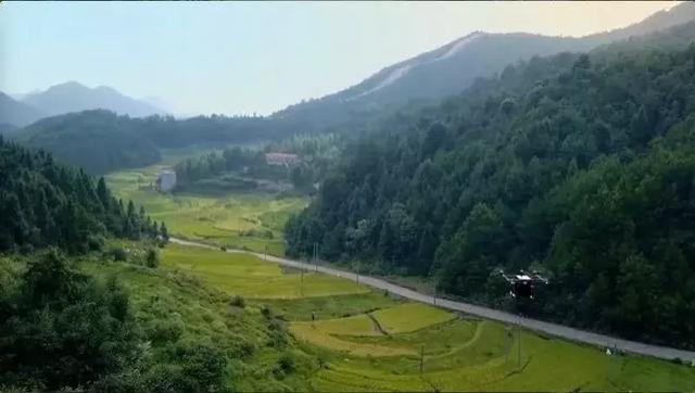 愿景和战略规划有啥区别_愿景与战略的区别_王卫的企业愿景与发展战略