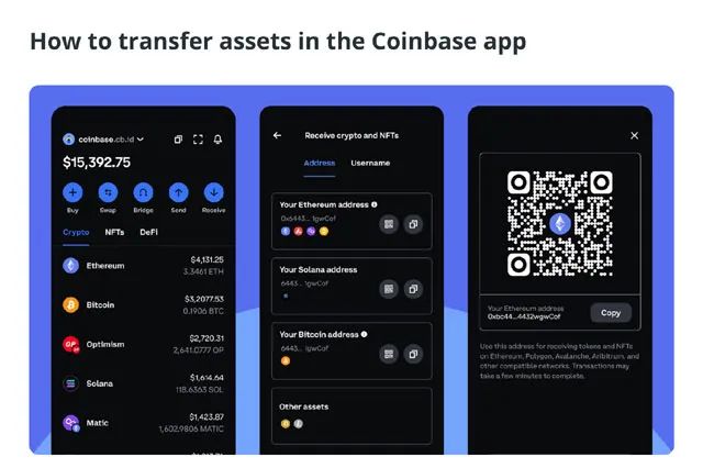 比特币钱包新手指南：安全存储与使用比特币的必备知识