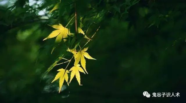 名言启示智慧鬼谷子的句子_鬼谷子的名言与智慧启示_鬼谷子智慧语录大全