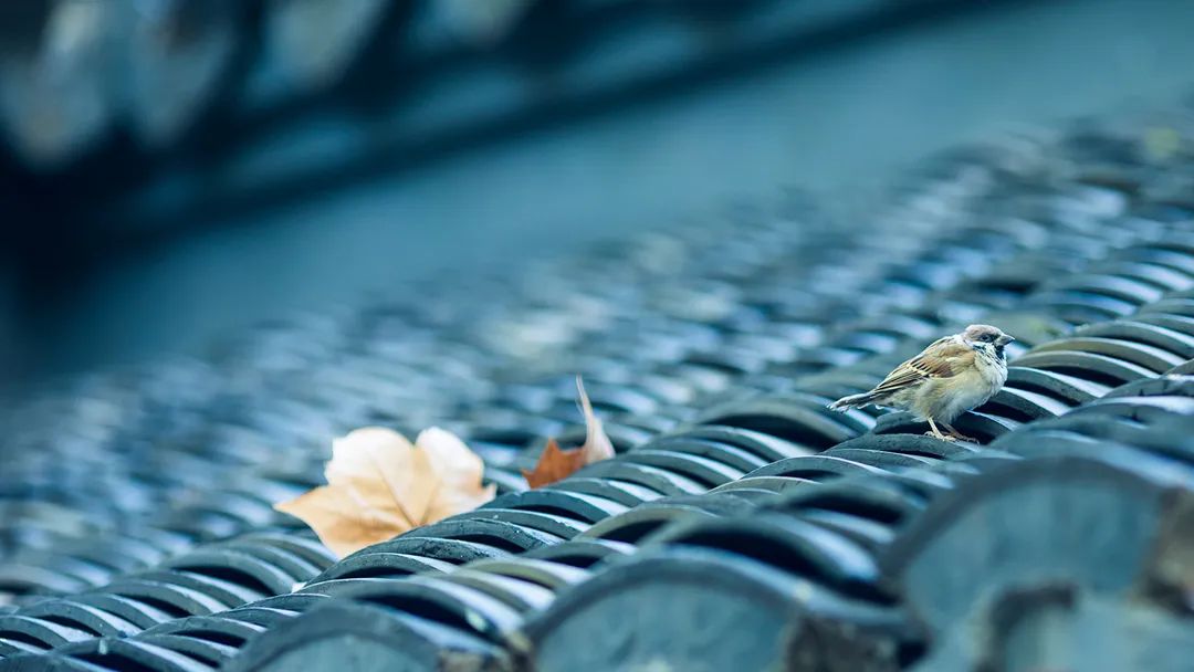 韩信说的名人名言_韩信的名言与人生智慧_韩信人生格言