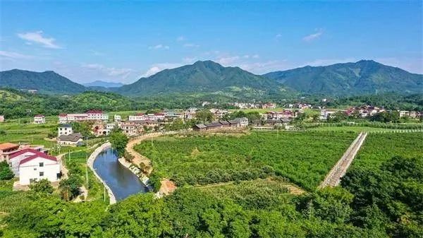 虚拟现实技术与虚拟货币的融合发展：未来的数字经济_虚拟化数字货币_虚拟数字货币的价值