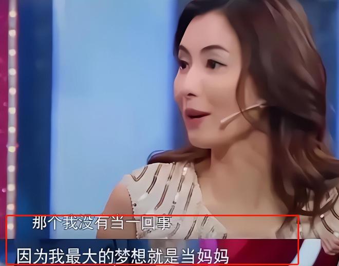 张柏芝的电影历程与经典作品_张柏芝影视作品介绍_张柏芝获奖电影