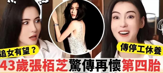 张柏芝影视作品介绍_张柏芝的电影历程与经典作品_张柏芝获奖电影