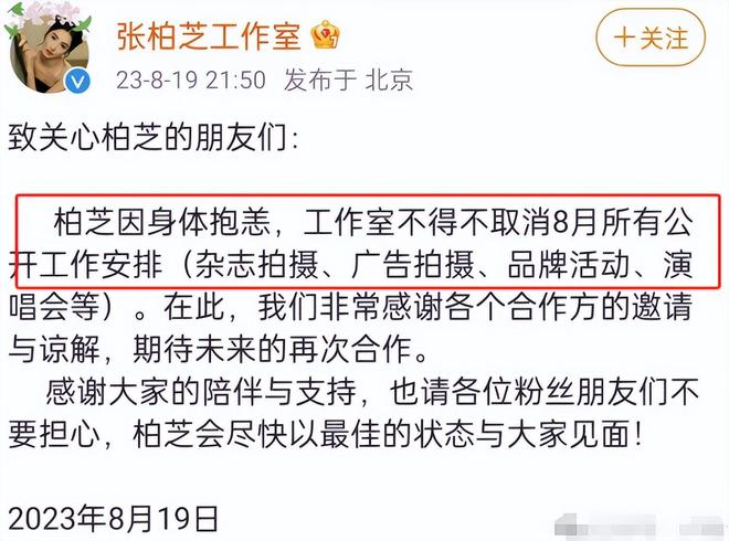 张柏芝影视作品介绍_张柏芝获奖电影_张柏芝的电影历程与经典作品