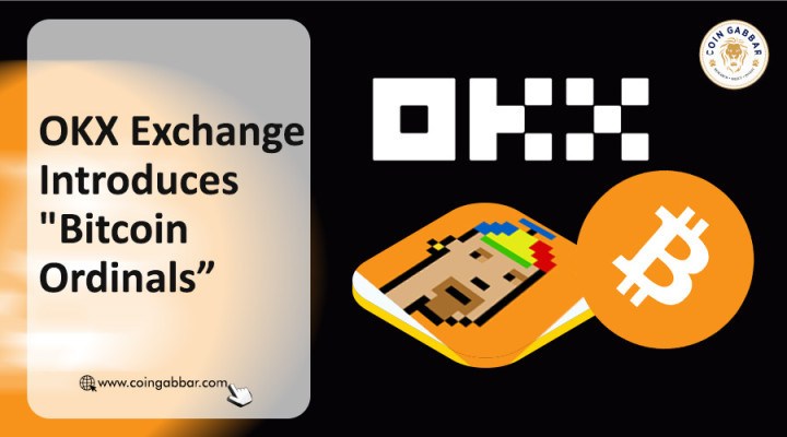 欧意怎么分辨真假(427)