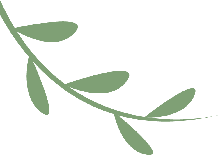 张柏芝的经典音乐剧演出回顾_芝柏歌剧院_芝柏经典款