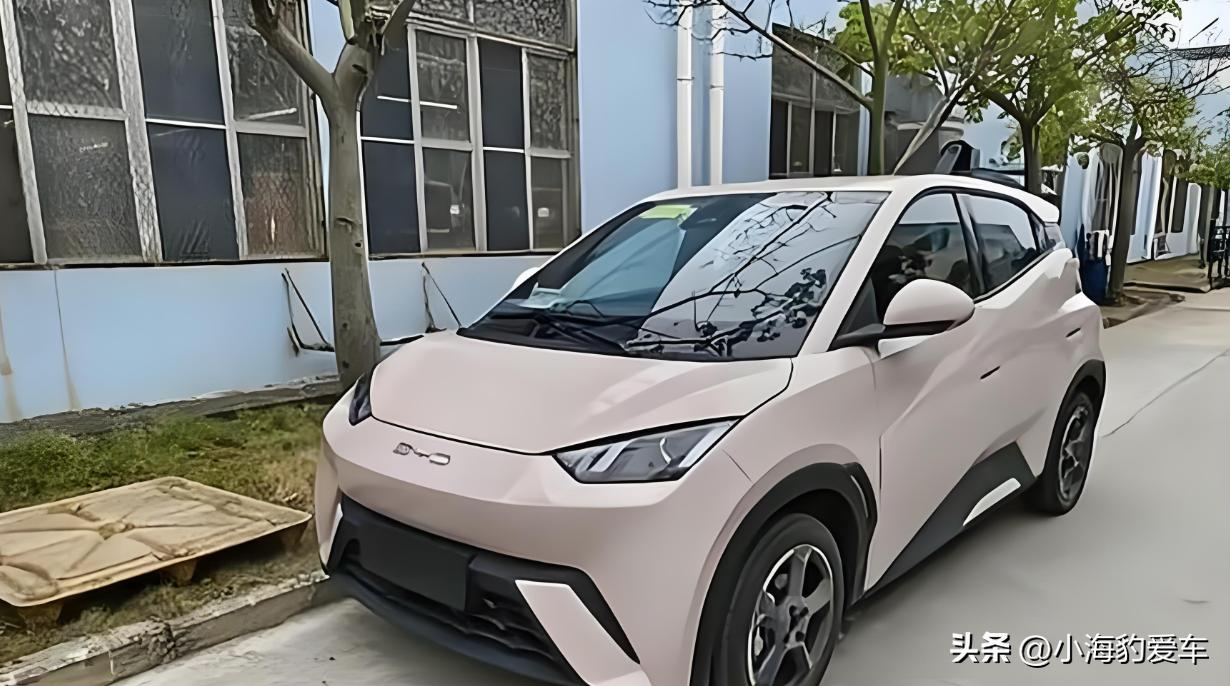 比亚迪海鸥新能源汽车_比亚迪海豚电动车官方报价_电动汽车时代的佼佼者——比亚迪海鸥