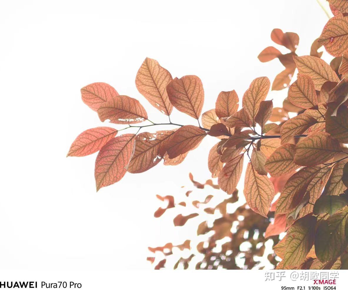 华为的先进性_华为的通信技术有多强_华为Mate系列的先进通信技术