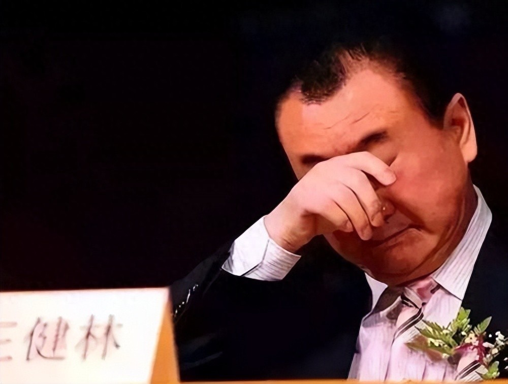 王健林对中国经济的贡献_王健林成就_王健林的贡献