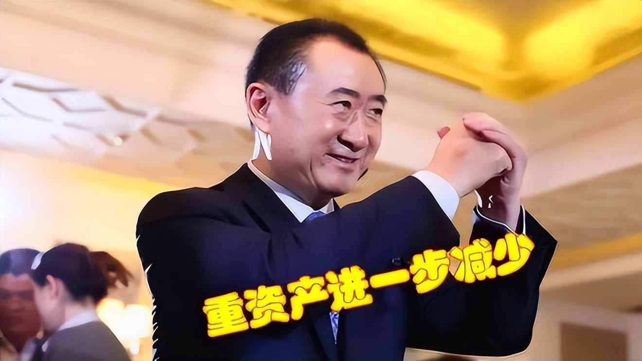 王健林的贡献_王健林成就_王健林对中国经济的贡献