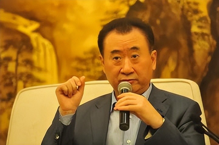 王健林的贡献_王健林成就_王健林对中国经济的贡献