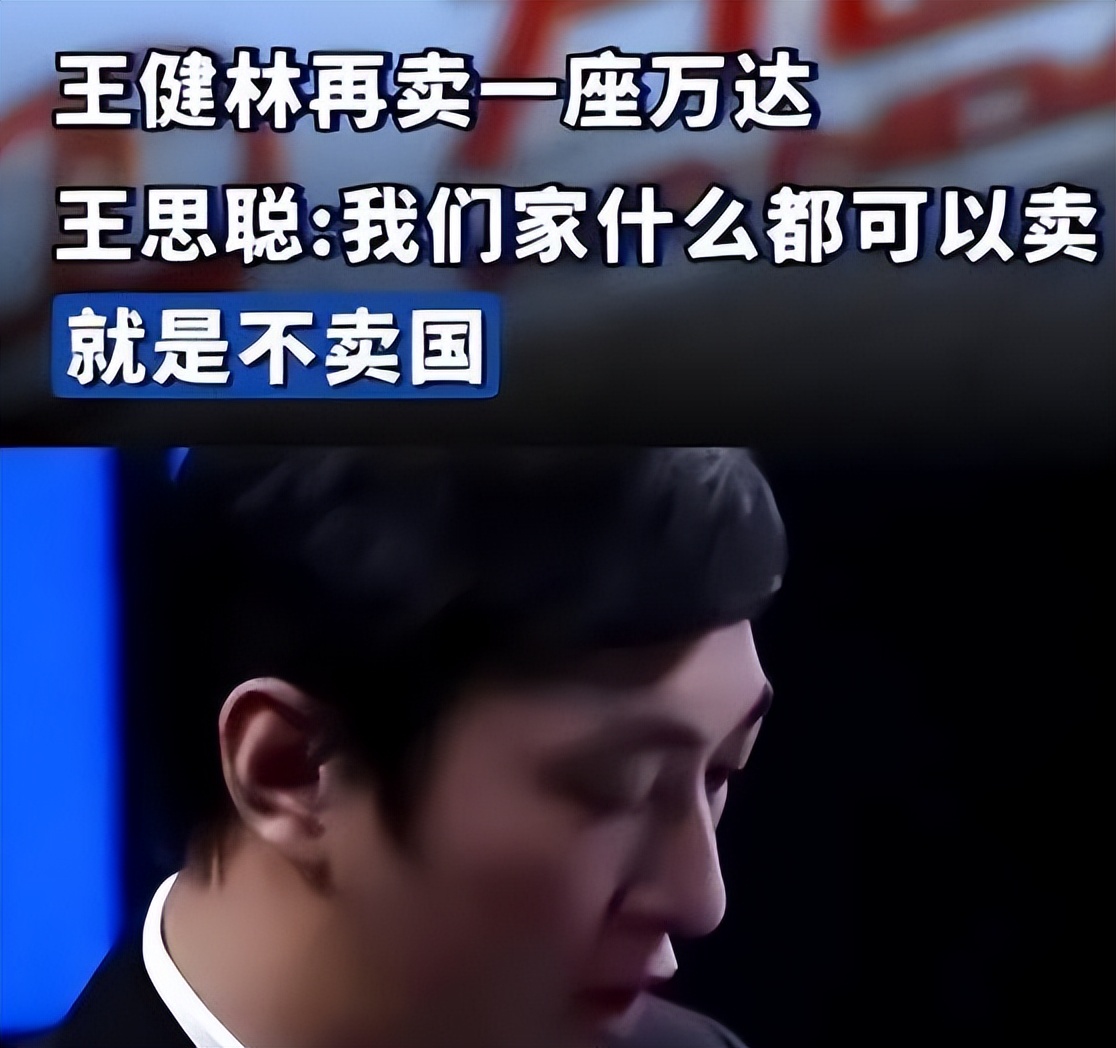 王健林的贡献_王健林对中国经济的贡献_王健林成就