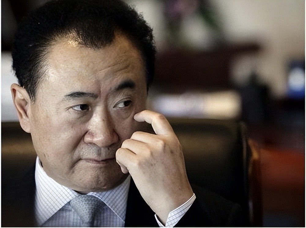 王健林的贡献_王健林成就_王健林对中国经济的贡献