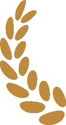 数字货币在全球经济重建中的角色：如何推动可持续发展与金融包容性_数字货币在全球经济重建中的角色：如何推动可持续发展与金融包容性_数字货币在全球经济重建中的角色：如何推动可持续发展与金融包容性