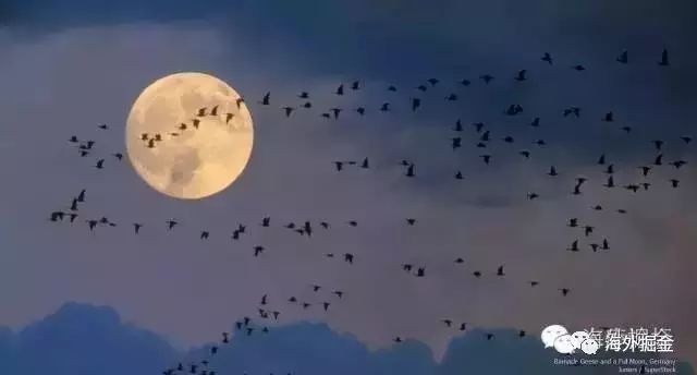 冷钱包的资产有可能被转走吗_冷钱包概念股_前十名冷钱包的投资回报率 | 如何实现财富增长