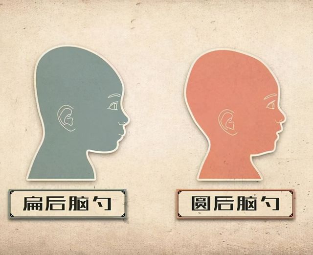 刘亦菲年轻时的美照_刘亦菲年轻的时候_刘亦菲如何影响了年轻一代