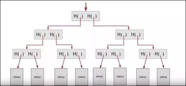 加密技术在数字货币隐私保护中的作用_隐私币的未来_隐私性最好的加密货币
