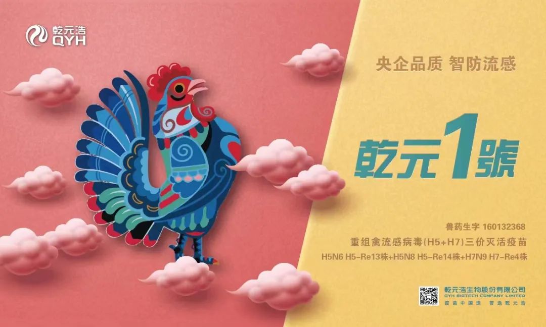 秦英林强调技术创新为生猪养殖行业高质量发展核心，提出五项建议