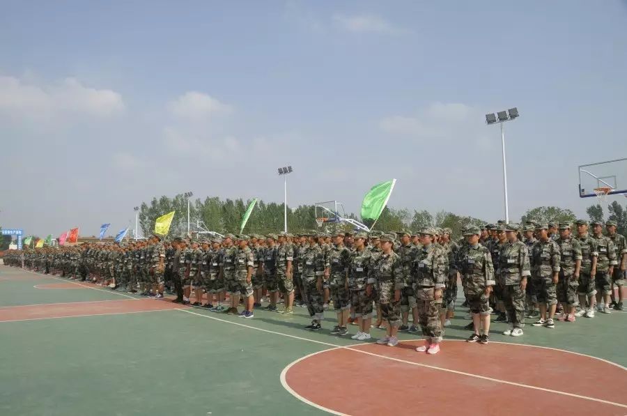 秦英林如何培养年轻人才_年轻人才培养方法_青年人才培养的重要性