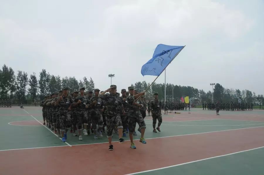 青年人才培养的重要性_年轻人才培养方法_秦英林如何培养年轻人才