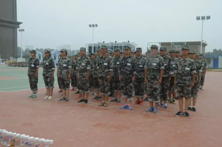 年轻人才培养方法_秦英林如何培养年轻人才_青年人才培养的重要性