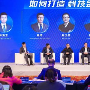 数字货币金融模型_数字货币的多样性：不同币种在全球金融体系中的作用与发展_数字货币是多种技术结合