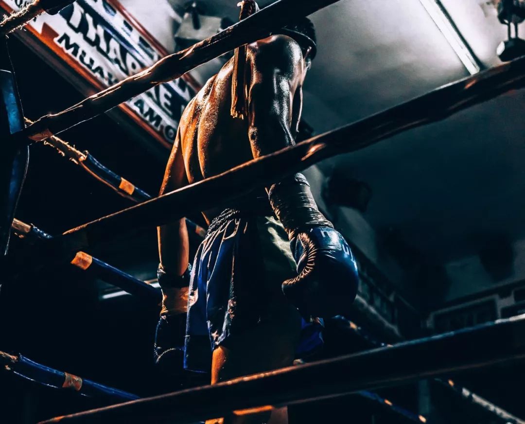 蜂窝交易平台_USDT在蜂窝投资中的优势_蜂窝币有什么用途